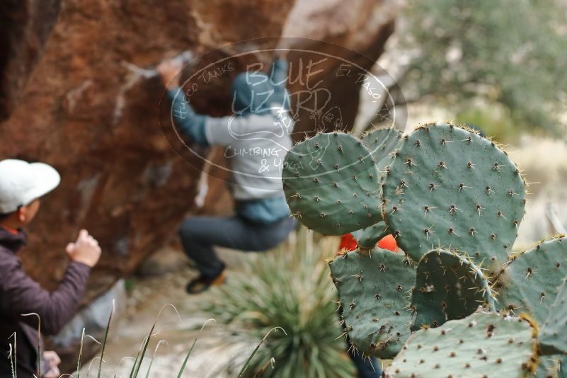 Bouldering in Hueco Tanks on 12/28/2019 with Blue Lizard Climbing and Yoga

Filename: SRM_20191228_1444210.jpg
Aperture: f/3.2
Shutter Speed: 1/250
Body: Canon EOS-1D Mark II
Lens: Canon EF 50mm f/1.8 II