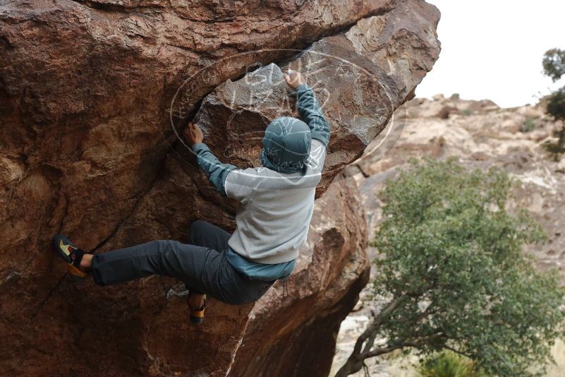 Bouldering in Hueco Tanks on 12/28/2019 with Blue Lizard Climbing and Yoga

Filename: SRM_20191228_1444460.jpg
Aperture: f/4.0
Shutter Speed: 1/250
Body: Canon EOS-1D Mark II
Lens: Canon EF 50mm f/1.8 II