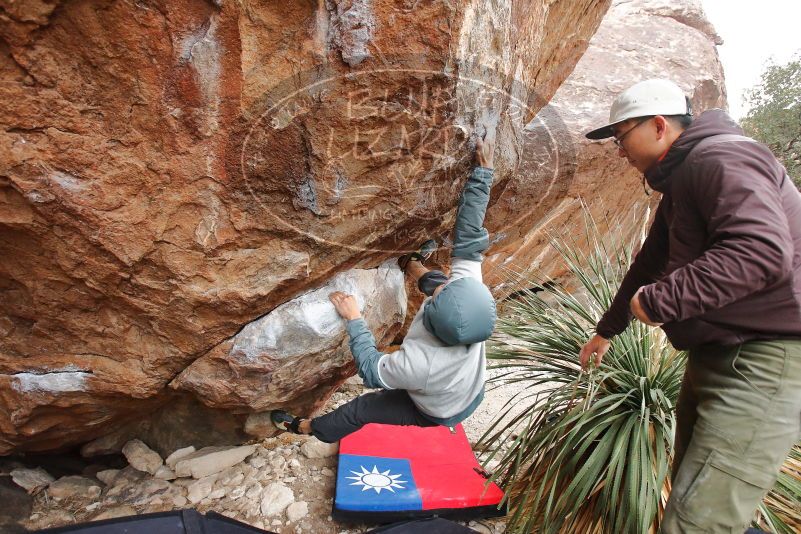 Bouldering in Hueco Tanks on 12/28/2019 with Blue Lizard Climbing and Yoga

Filename: SRM_20191228_1508110.jpg
Aperture: f/4.5
Shutter Speed: 1/250
Body: Canon EOS-1D Mark II
Lens: Canon EF 16-35mm f/2.8 L