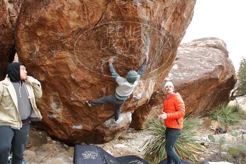 Bouldering in Hueco Tanks on 12/28/2019 with Blue Lizard Climbing and Yoga

Filename: SRM_20191228_1520440.jpg
Aperture: f/5.6
Shutter Speed: 1/250
Body: Canon EOS-1D Mark II
Lens: Canon EF 16-35mm f/2.8 L