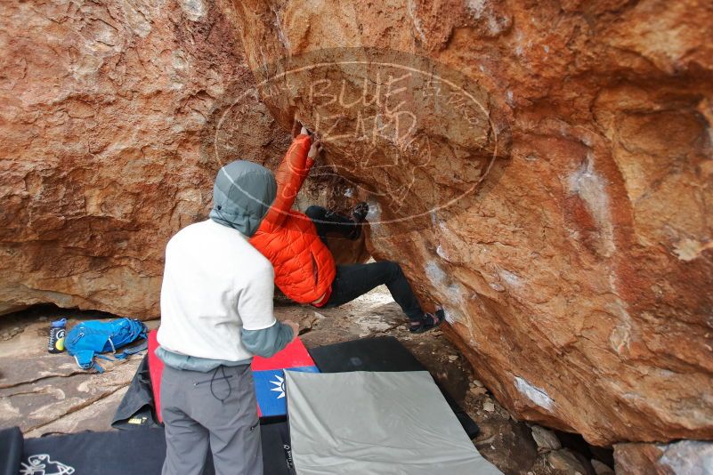 Bouldering in Hueco Tanks on 12/28/2019 with Blue Lizard Climbing and Yoga

Filename: SRM_20191228_1545070.jpg
Aperture: f/3.2
Shutter Speed: 1/250
Body: Canon EOS-1D Mark II
Lens: Canon EF 16-35mm f/2.8 L