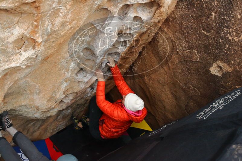 Bouldering in Hueco Tanks on 12/28/2019 with Blue Lizard Climbing and Yoga

Filename: SRM_20191228_1633110.jpg
Aperture: f/4.0
Shutter Speed: 1/250
Body: Canon EOS-1D Mark II
Lens: Canon EF 16-35mm f/2.8 L