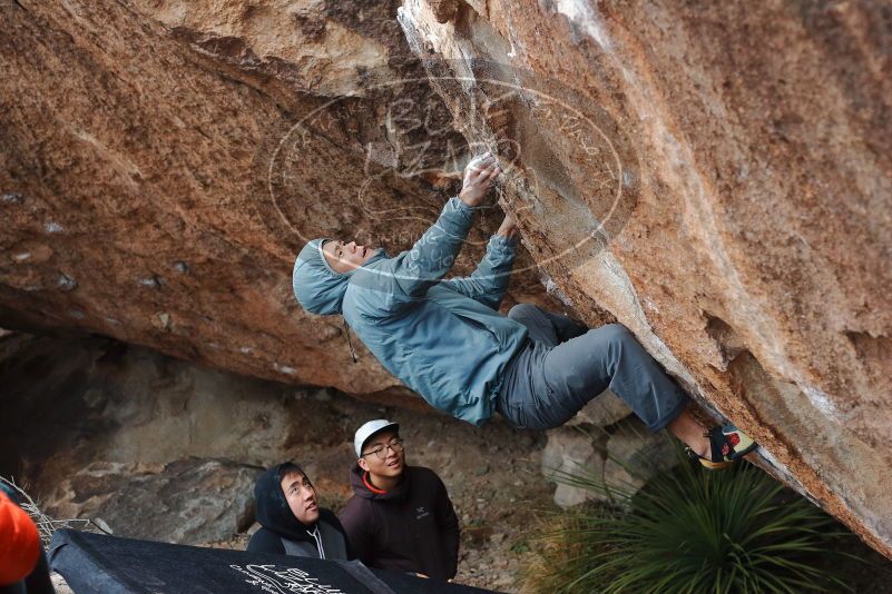 Bouldering in Hueco Tanks on 12/28/2019 with Blue Lizard Climbing and Yoga

Filename: SRM_20191228_1656490.jpg
Aperture: f/4.0
Shutter Speed: 1/250
Body: Canon EOS-1D Mark II
Lens: Canon EF 50mm f/1.8 II