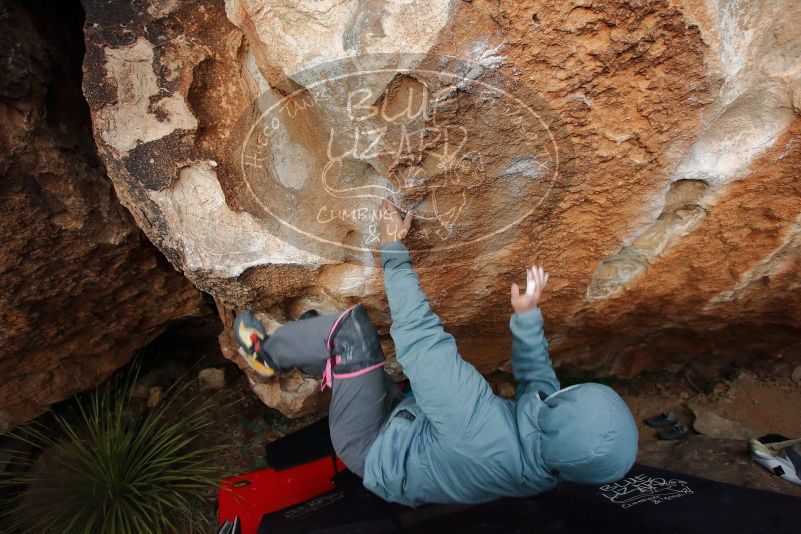 Bouldering in Hueco Tanks on 12/28/2019 with Blue Lizard Climbing and Yoga

Filename: SRM_20191228_1719400.jpg
Aperture: f/4.0
Shutter Speed: 1/250
Body: Canon EOS-1D Mark II
Lens: Canon EF 16-35mm f/2.8 L