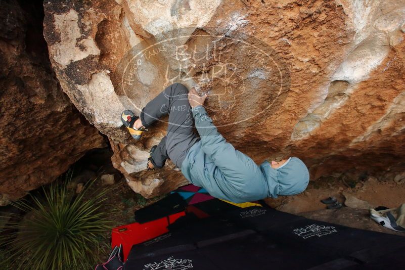 Bouldering in Hueco Tanks on 12/28/2019 with Blue Lizard Climbing and Yoga

Filename: SRM_20191228_1720370.jpg
Aperture: f/4.0
Shutter Speed: 1/250
Body: Canon EOS-1D Mark II
Lens: Canon EF 16-35mm f/2.8 L