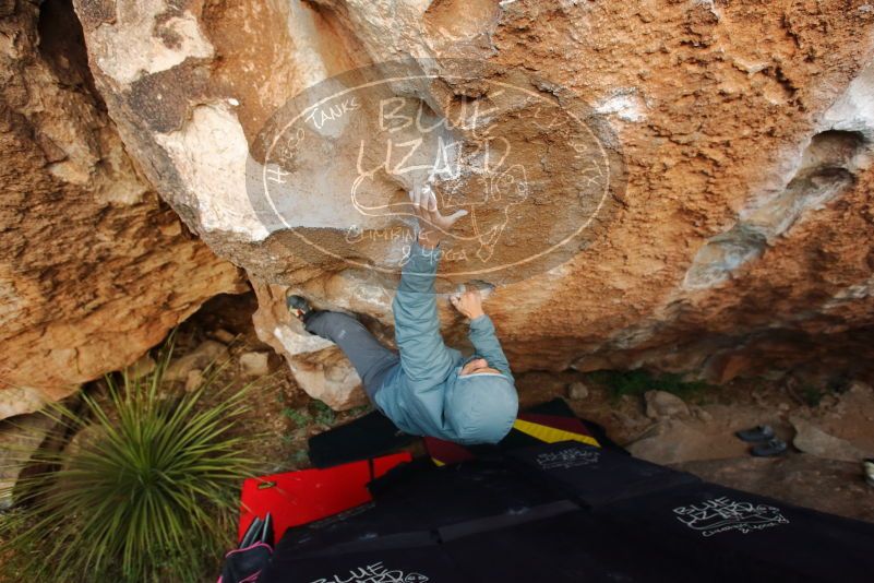 Bouldering in Hueco Tanks on 12/28/2019 with Blue Lizard Climbing and Yoga

Filename: SRM_20191228_1744300.jpg
Aperture: f/4.0
Shutter Speed: 1/250
Body: Canon EOS-1D Mark II
Lens: Canon EF 16-35mm f/2.8 L