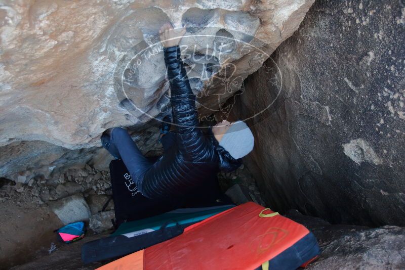 Bouldering in Hueco Tanks on 12/29/2019 with Blue Lizard Climbing and Yoga

Filename: SRM_20191229_1052181.jpg
Aperture: f/3.2
Shutter Speed: 1/250
Body: Canon EOS-1D Mark II
Lens: Canon EF 16-35mm f/2.8 L