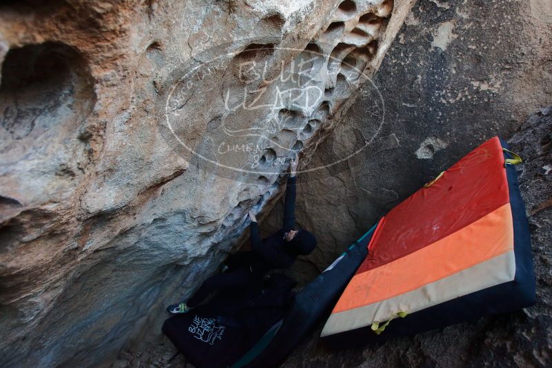 Bouldering in Hueco Tanks on 12/29/2019 with Blue Lizard Climbing and Yoga

Filename: SRM_20191229_1055110.jpg
Aperture: f/3.5
Shutter Speed: 1/250
Body: Canon EOS-1D Mark II
Lens: Canon EF 16-35mm f/2.8 L