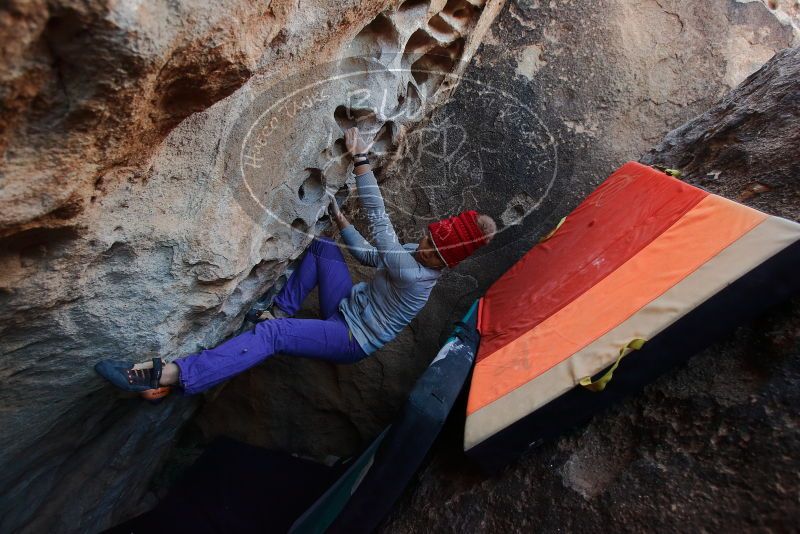 Bouldering in Hueco Tanks on 12/29/2019 with Blue Lizard Climbing and Yoga

Filename: SRM_20191229_1057330.jpg
Aperture: f/4.0
Shutter Speed: 1/250
Body: Canon EOS-1D Mark II
Lens: Canon EF 16-35mm f/2.8 L