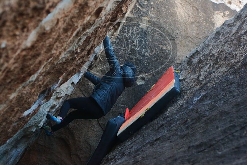 Bouldering in Hueco Tanks on 12/29/2019 with Blue Lizard Climbing and Yoga

Filename: SRM_20191229_1103280.jpg
Aperture: f/3.5
Shutter Speed: 1/250
Body: Canon EOS-1D Mark II
Lens: Canon EF 50mm f/1.8 II