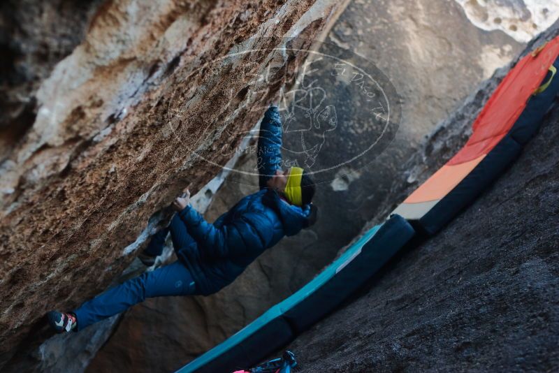 Bouldering in Hueco Tanks on 12/29/2019 with Blue Lizard Climbing and Yoga

Filename: SRM_20191229_1108390.jpg
Aperture: f/3.2
Shutter Speed: 1/250
Body: Canon EOS-1D Mark II
Lens: Canon EF 50mm f/1.8 II