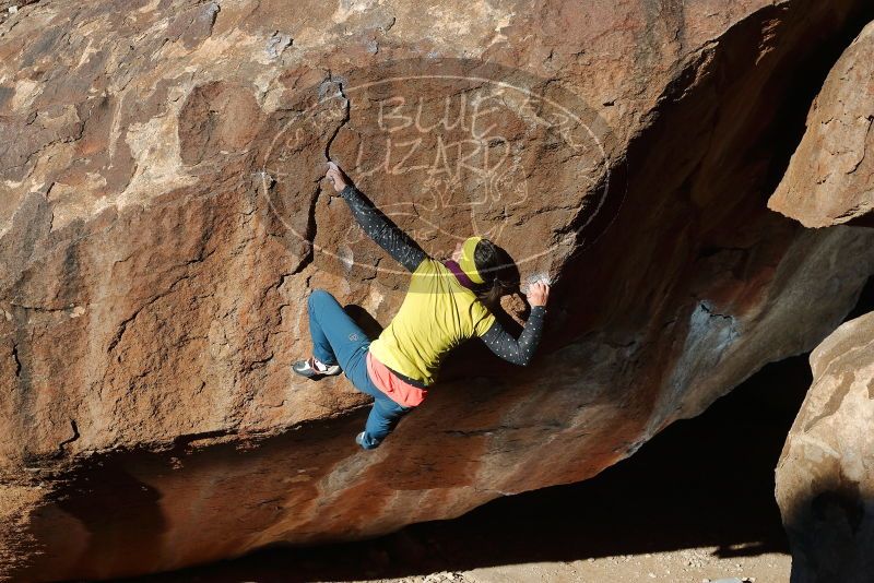 Bouldering in Hueco Tanks on 12/29/2019 with Blue Lizard Climbing and Yoga

Filename: SRM_20191229_1154140.jpg
Aperture: f/8.0
Shutter Speed: 1/250
Body: Canon EOS-1D Mark II
Lens: Canon EF 50mm f/1.8 II