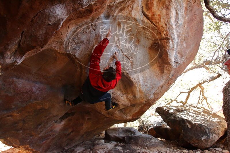 Bouldering in Hueco Tanks on 12/29/2019 with Blue Lizard Climbing and Yoga

Filename: SRM_20191229_1409130.jpg
Aperture: f/4.0
Shutter Speed: 1/250
Body: Canon EOS-1D Mark II
Lens: Canon EF 16-35mm f/2.8 L