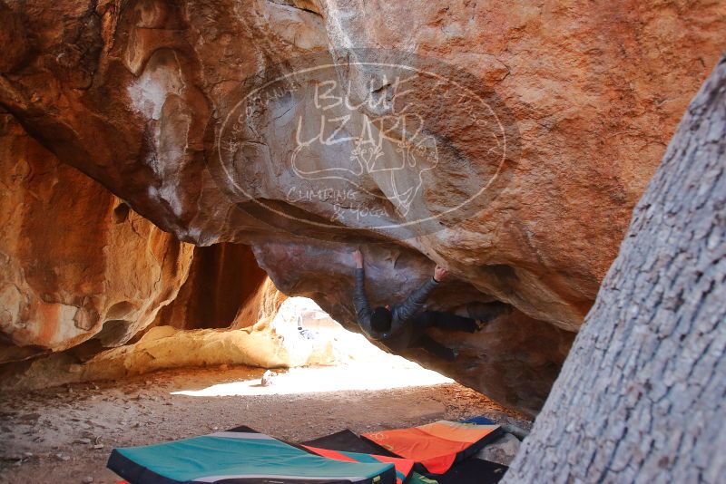 Bouldering in Hueco Tanks on 12/29/2019 with Blue Lizard Climbing and Yoga

Filename: SRM_20191229_1412430.jpg
Aperture: f/4.5
Shutter Speed: 1/250
Body: Canon EOS-1D Mark II
Lens: Canon EF 16-35mm f/2.8 L