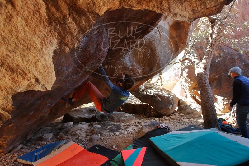 Bouldering in Hueco Tanks on 12/29/2019 with Blue Lizard Climbing and Yoga

Filename: SRM_20191229_1447520.jpg
Aperture: f/3.5
Shutter Speed: 1/250
Body: Canon EOS-1D Mark II
Lens: Canon EF 16-35mm f/2.8 L