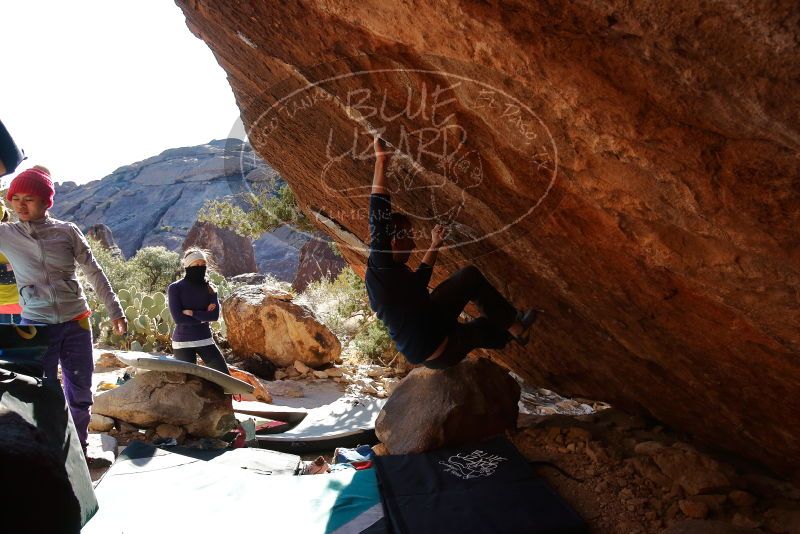 Bouldering in Hueco Tanks on 12/29/2019 with Blue Lizard Climbing and Yoga

Filename: SRM_20191229_1553010.jpg
Aperture: f/5.6
Shutter Speed: 1/320
Body: Canon EOS-1D Mark II
Lens: Canon EF 16-35mm f/2.8 L