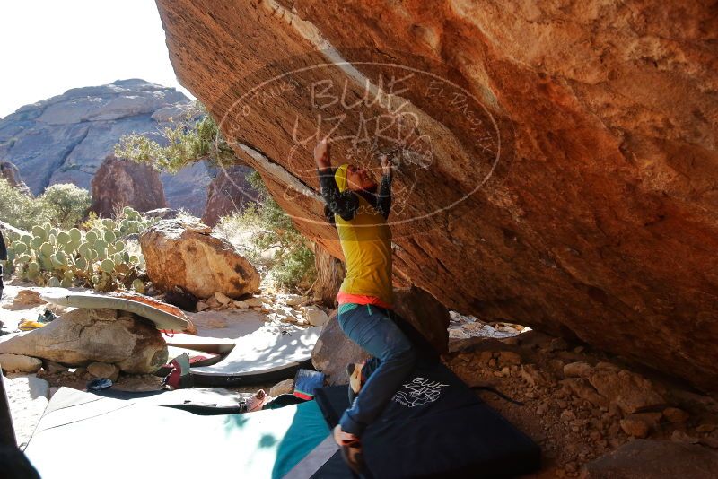 Bouldering in Hueco Tanks on 12/29/2019 with Blue Lizard Climbing and Yoga

Filename: SRM_20191229_1557303.jpg
Aperture: f/5.0
Shutter Speed: 1/320
Body: Canon EOS-1D Mark II
Lens: Canon EF 16-35mm f/2.8 L