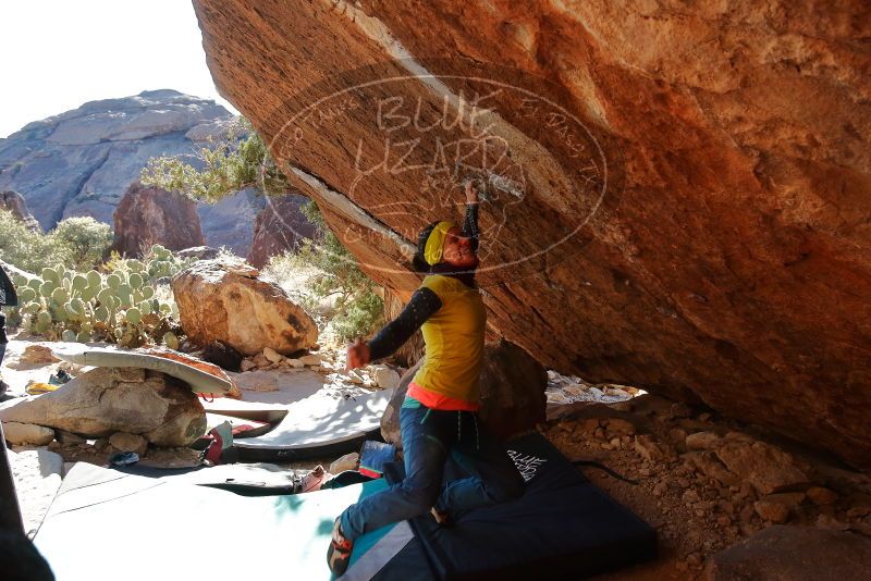 Bouldering in Hueco Tanks on 12/29/2019 with Blue Lizard Climbing and Yoga

Filename: SRM_20191229_1557304.jpg
Aperture: f/5.0
Shutter Speed: 1/320
Body: Canon EOS-1D Mark II
Lens: Canon EF 16-35mm f/2.8 L