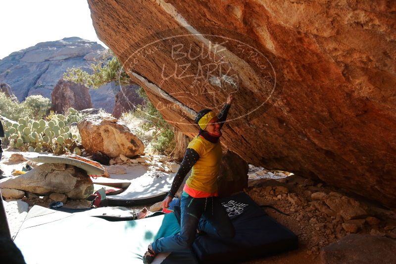 Bouldering in Hueco Tanks on 12/29/2019 with Blue Lizard Climbing and Yoga

Filename: SRM_20191229_1557310.jpg
Aperture: f/5.0
Shutter Speed: 1/320
Body: Canon EOS-1D Mark II
Lens: Canon EF 16-35mm f/2.8 L