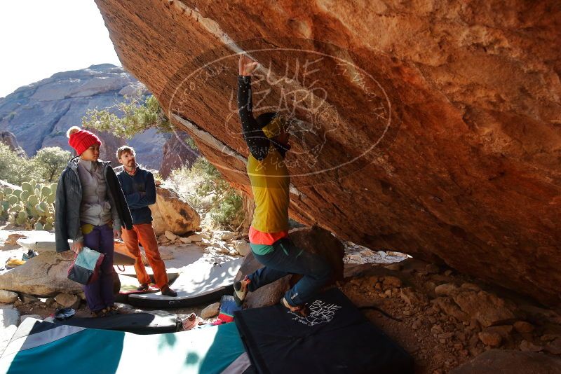 Bouldering in Hueco Tanks on 12/29/2019 with Blue Lizard Climbing and Yoga

Filename: SRM_20191229_1557580.jpg
Aperture: f/5.0
Shutter Speed: 1/320
Body: Canon EOS-1D Mark II
Lens: Canon EF 16-35mm f/2.8 L