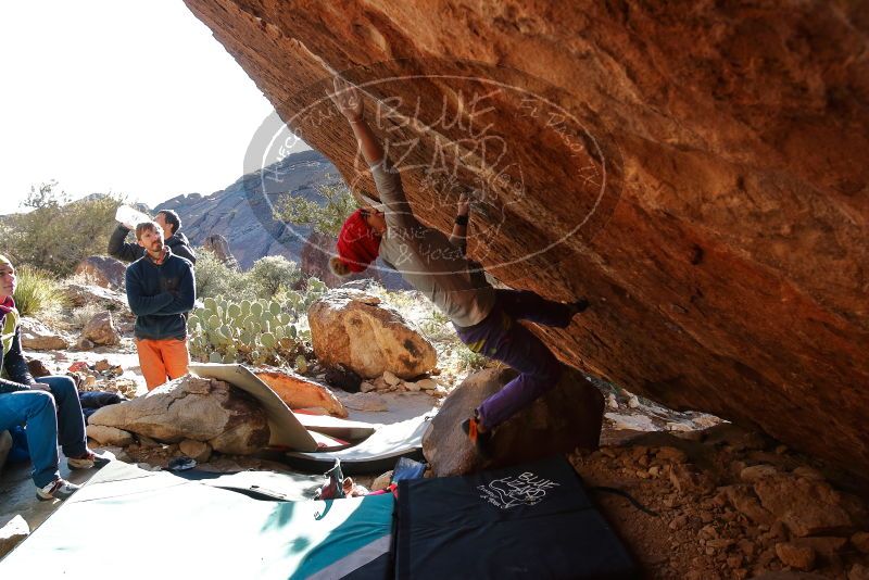 Bouldering in Hueco Tanks on 12/29/2019 with Blue Lizard Climbing and Yoga

Filename: SRM_20191229_1559181.jpg
Aperture: f/5.0
Shutter Speed: 1/320
Body: Canon EOS-1D Mark II
Lens: Canon EF 16-35mm f/2.8 L