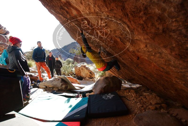 Bouldering in Hueco Tanks on 12/29/2019 with Blue Lizard Climbing and Yoga

Filename: SRM_20191229_1600360.jpg
Aperture: f/5.0
Shutter Speed: 1/320
Body: Canon EOS-1D Mark II
Lens: Canon EF 16-35mm f/2.8 L