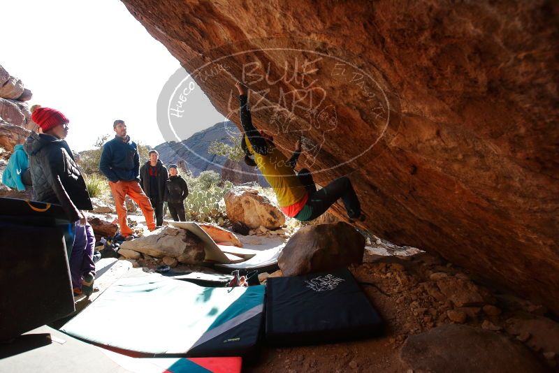 Bouldering in Hueco Tanks on 12/29/2019 with Blue Lizard Climbing and Yoga

Filename: SRM_20191229_1600361.jpg
Aperture: f/5.0
Shutter Speed: 1/320
Body: Canon EOS-1D Mark II
Lens: Canon EF 16-35mm f/2.8 L