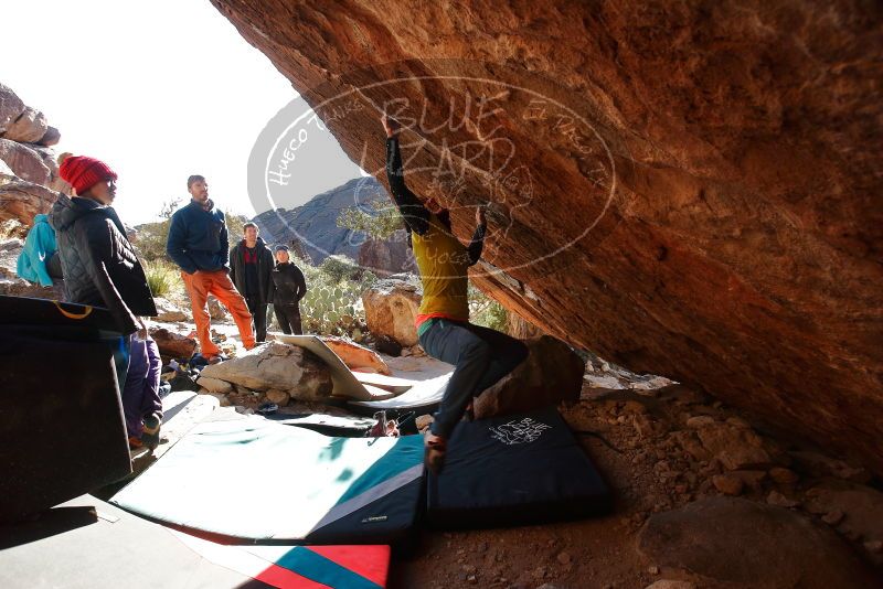 Bouldering in Hueco Tanks on 12/29/2019 with Blue Lizard Climbing and Yoga

Filename: SRM_20191229_1600363.jpg
Aperture: f/5.0
Shutter Speed: 1/320
Body: Canon EOS-1D Mark II
Lens: Canon EF 16-35mm f/2.8 L