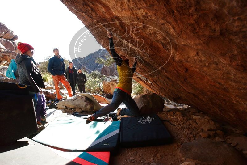 Bouldering in Hueco Tanks on 12/29/2019 with Blue Lizard Climbing and Yoga

Filename: SRM_20191229_1600370.jpg
Aperture: f/5.0
Shutter Speed: 1/320
Body: Canon EOS-1D Mark II
Lens: Canon EF 16-35mm f/2.8 L