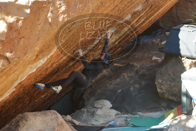 Bouldering in Hueco Tanks on 12/29/2019 with Blue Lizard Climbing and Yoga

Filename: SRM_20191229_1642321.jpg
Aperture: f/4.0
Shutter Speed: 1/320
Body: Canon EOS-1D Mark II
Lens: Canon EF 50mm f/1.8 II