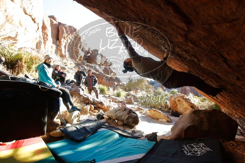 Bouldering in Hueco Tanks on 12/29/2019 with Blue Lizard Climbing and Yoga

Filename: SRM_20191229_1654190.jpg
Aperture: f/5.0
Shutter Speed: 1/320
Body: Canon EOS-1D Mark II
Lens: Canon EF 16-35mm f/2.8 L