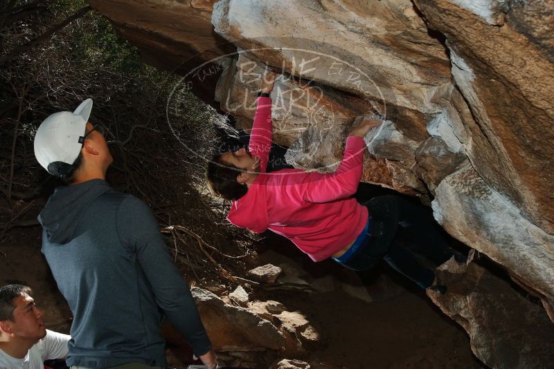 Bouldering in Hueco Tanks on 12/30/2019 with Blue Lizard Climbing and Yoga

Filename: SRM_20191230_1230520.jpg
Aperture: f/8.0
Shutter Speed: 1/250
Body: Canon EOS-1D Mark II
Lens: Canon EF 16-35mm f/2.8 L