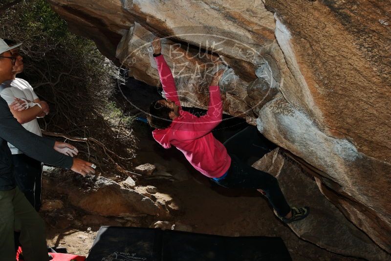 Bouldering in Hueco Tanks on 12/30/2019 with Blue Lizard Climbing and Yoga

Filename: SRM_20191230_1236180.jpg
Aperture: f/8.0
Shutter Speed: 1/250
Body: Canon EOS-1D Mark II
Lens: Canon EF 16-35mm f/2.8 L