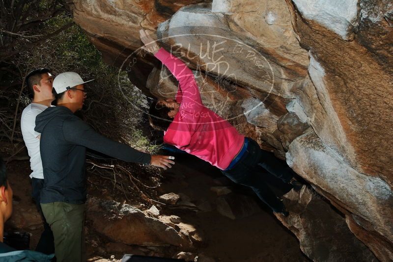 Bouldering in Hueco Tanks on 12/30/2019 with Blue Lizard Climbing and Yoga

Filename: SRM_20191230_1236220.jpg
Aperture: f/8.0
Shutter Speed: 1/250
Body: Canon EOS-1D Mark II
Lens: Canon EF 16-35mm f/2.8 L