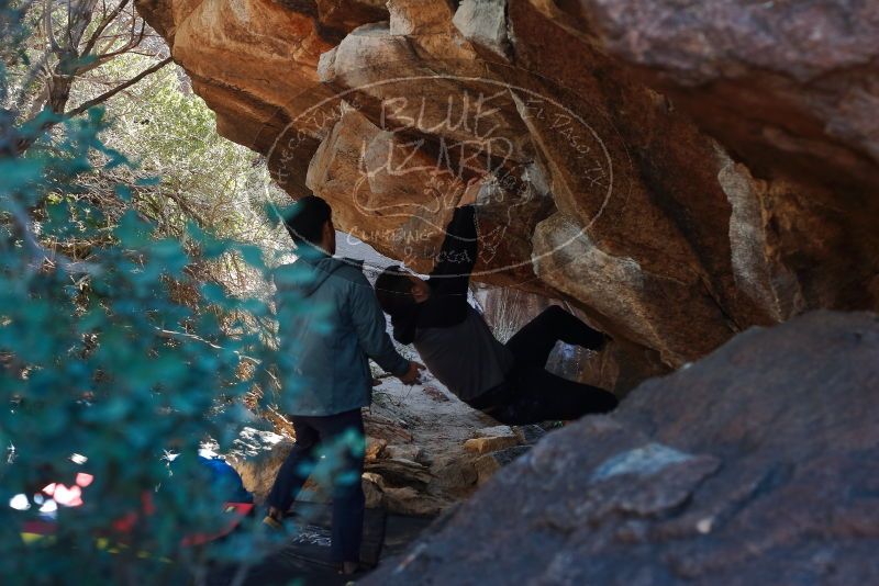 Bouldering in Hueco Tanks on 12/30/2019 with Blue Lizard Climbing and Yoga

Filename: SRM_20191230_1308350.jpg
Aperture: f/4.0
Shutter Speed: 1/250
Body: Canon EOS-1D Mark II
Lens: Canon EF 50mm f/1.8 II