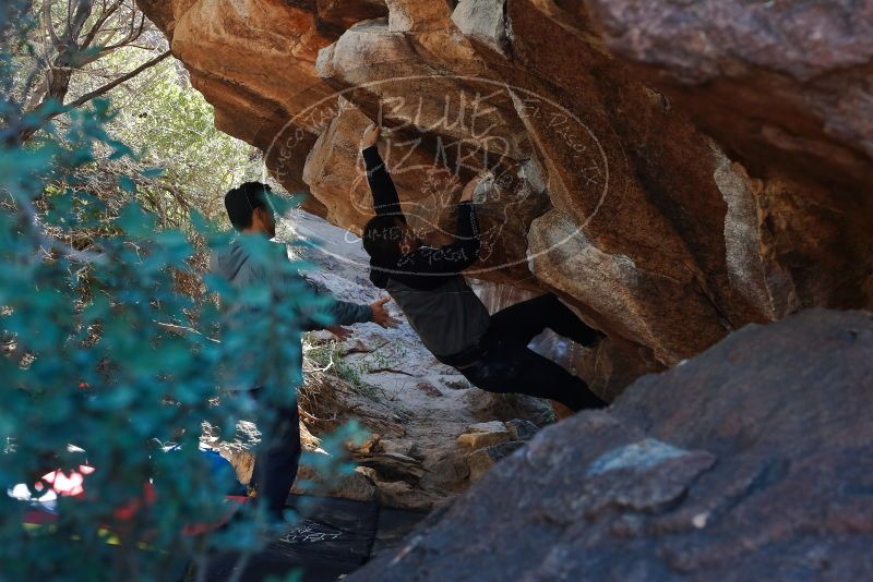 Bouldering in Hueco Tanks on 12/30/2019 with Blue Lizard Climbing and Yoga

Filename: SRM_20191230_1308360.jpg
Aperture: f/4.0
Shutter Speed: 1/250
Body: Canon EOS-1D Mark II
Lens: Canon EF 50mm f/1.8 II