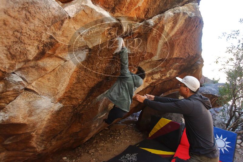 Bouldering in Hueco Tanks on 12/30/2019 with Blue Lizard Climbing and Yoga

Filename: SRM_20191230_1326350.jpg
Aperture: f/4.0
Shutter Speed: 1/250
Body: Canon EOS-1D Mark II
Lens: Canon EF 16-35mm f/2.8 L