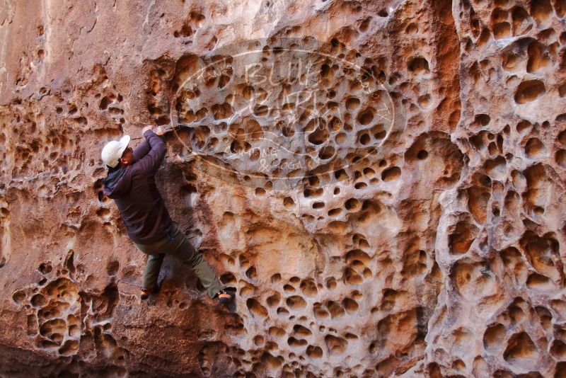 Bouldering in Hueco Tanks on 12/30/2019 with Blue Lizard Climbing and Yoga

Filename: SRM_20191230_1444100.jpg
Aperture: f/3.5
Shutter Speed: 1/100
Body: Canon EOS-1D Mark II
Lens: Canon EF 16-35mm f/2.8 L