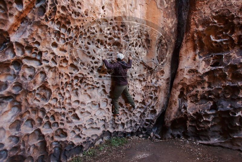 Bouldering in Hueco Tanks on 12/30/2019 with Blue Lizard Climbing and Yoga

Filename: SRM_20191230_1445260.jpg
Aperture: f/3.2
Shutter Speed: 1/100
Body: Canon EOS-1D Mark II
Lens: Canon EF 16-35mm f/2.8 L