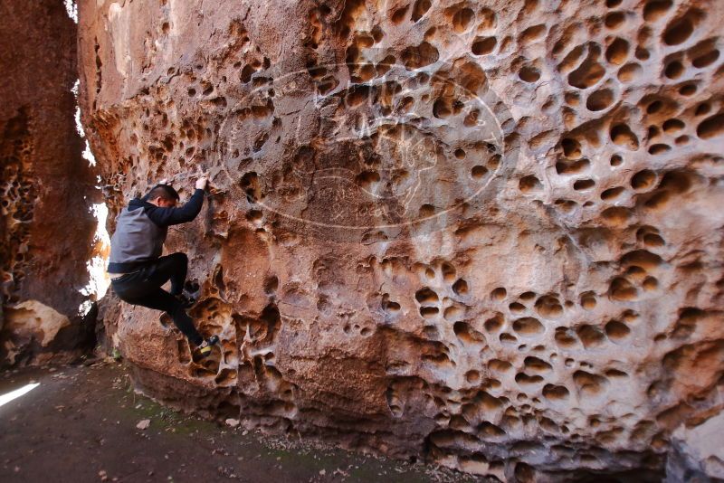 Bouldering in Hueco Tanks on 12/30/2019 with Blue Lizard Climbing and Yoga

Filename: SRM_20191230_1459340.jpg
Aperture: f/3.2
Shutter Speed: 1/100
Body: Canon EOS-1D Mark II
Lens: Canon EF 16-35mm f/2.8 L