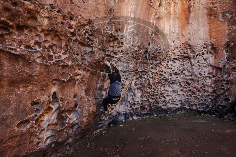 Bouldering in Hueco Tanks on 12/30/2019 with Blue Lizard Climbing and Yoga

Filename: SRM_20191230_1500010.jpg
Aperture: f/3.5
Shutter Speed: 1/100
Body: Canon EOS-1D Mark II
Lens: Canon EF 16-35mm f/2.8 L