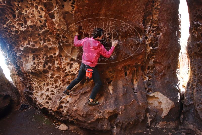 Bouldering in Hueco Tanks on 12/30/2019 with Blue Lizard Climbing and Yoga

Filename: SRM_20191230_1501260.jpg
Aperture: f/3.2
Shutter Speed: 1/100
Body: Canon EOS-1D Mark II
Lens: Canon EF 16-35mm f/2.8 L