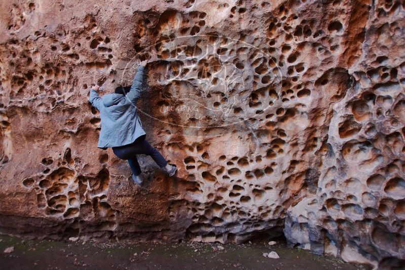 Bouldering in Hueco Tanks on 12/30/2019 with Blue Lizard Climbing and Yoga

Filename: SRM_20191230_1512360.jpg
Aperture: f/3.2
Shutter Speed: 1/100
Body: Canon EOS-1D Mark II
Lens: Canon EF 16-35mm f/2.8 L