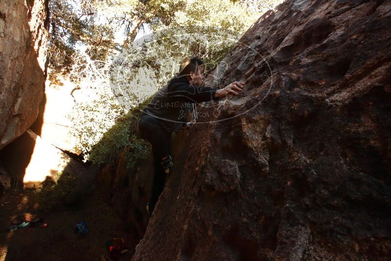 Bouldering in Hueco Tanks on 12/30/2019 with Blue Lizard Climbing and Yoga

Filename: SRM_20191230_1634570.jpg
Aperture: f/9.0
Shutter Speed: 1/200
Body: Canon EOS-1D Mark II
Lens: Canon EF 16-35mm f/2.8 L