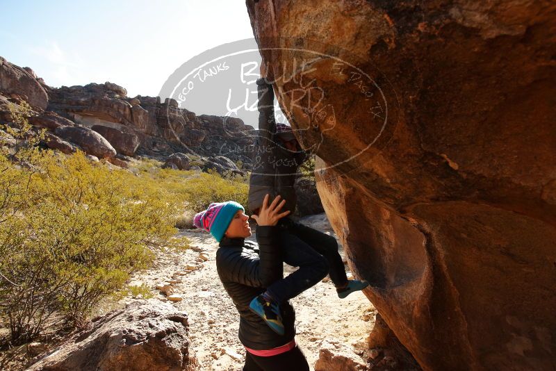 Bouldering in Hueco Tanks on 12/31/2019 with Blue Lizard Climbing and Yoga

Filename: SRM_20191231_1058521.jpg
Aperture: f/5.0
Shutter Speed: 1/320
Body: Canon EOS-1D Mark II
Lens: Canon EF 16-35mm f/2.8 L