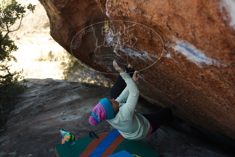 Bouldering in Hueco Tanks on 12/31/2019 with Blue Lizard Climbing and Yoga

Filename: SRM_20191231_1422290.jpg
Aperture: f/2.8
Shutter Speed: 1/500
Body: Canon EOS-1D Mark II
Lens: Canon EF 50mm f/1.8 II