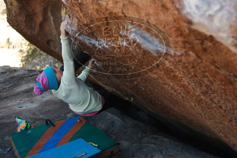 Bouldering in Hueco Tanks on 12/31/2019 with Blue Lizard Climbing and Yoga

Filename: SRM_20191231_1422340.jpg
Aperture: f/2.8
Shutter Speed: 1/400
Body: Canon EOS-1D Mark II
Lens: Canon EF 50mm f/1.8 II