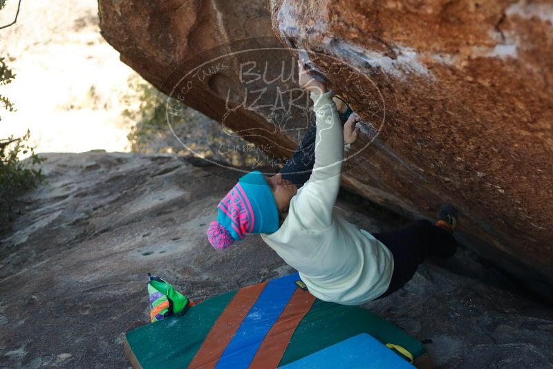 Bouldering in Hueco Tanks on 12/31/2019 with Blue Lizard Climbing and Yoga

Filename: SRM_20191231_1428470.jpg
Aperture: f/2.8
Shutter Speed: 1/500
Body: Canon EOS-1D Mark II
Lens: Canon EF 50mm f/1.8 II