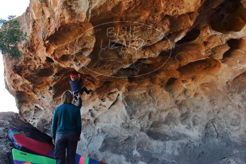 Bouldering in Hueco Tanks on 01/01/2020 with Blue Lizard Climbing and Yoga

Filename: SRM_20200101_1532480.jpg
Aperture: f/5.6
Shutter Speed: 1/250
Body: Canon EOS-1D Mark II
Lens: Canon EF 16-35mm f/2.8 L