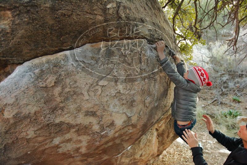 Bouldering in Hueco Tanks on 01/01/2020 with Blue Lizard Climbing and Yoga

Filename: SRM_20200101_1741020.jpg
Aperture: f/3.2
Shutter Speed: 1/250
Body: Canon EOS-1D Mark II
Lens: Canon EF 16-35mm f/2.8 L